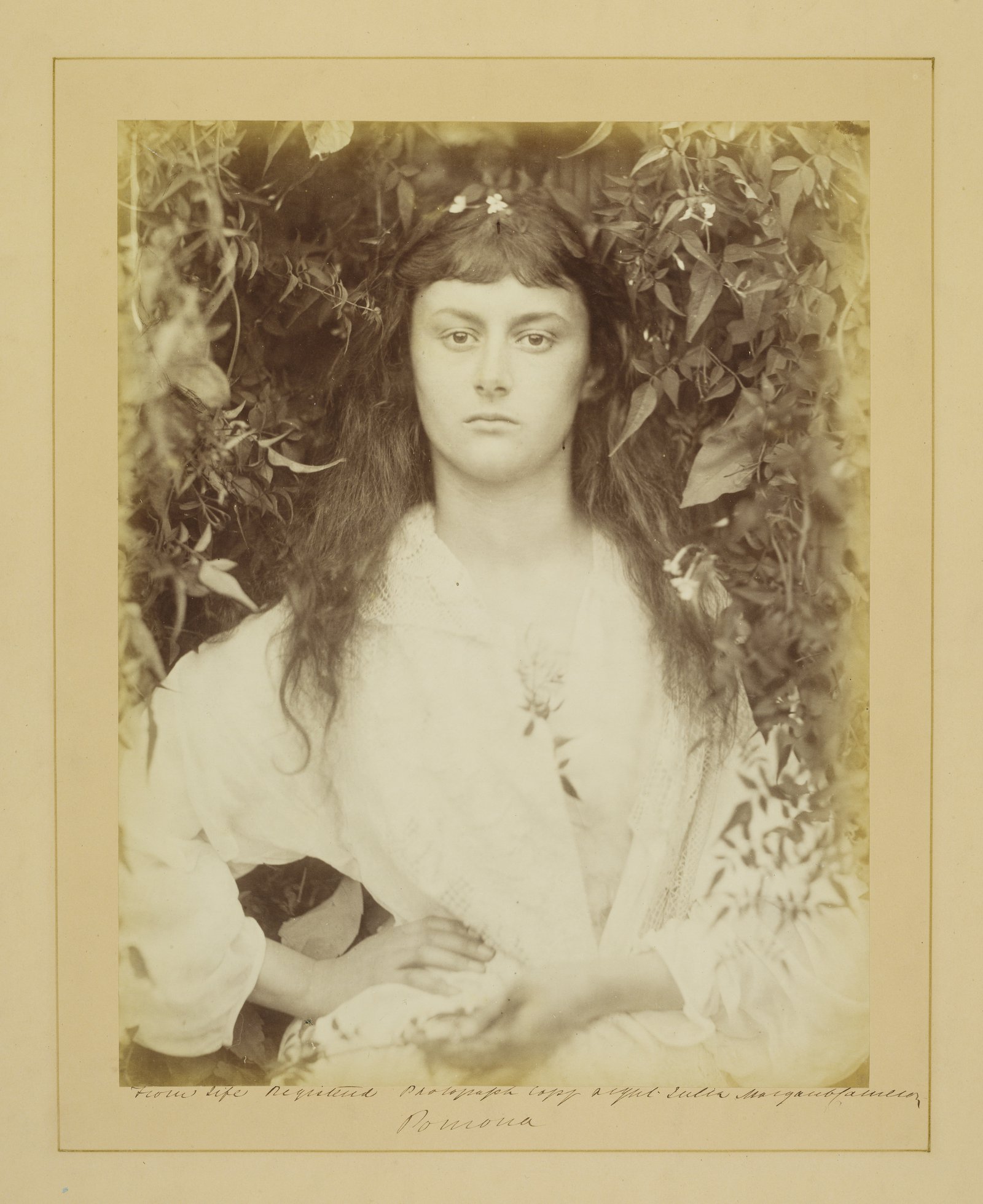 Julia Margaret Cameron, Pomona, 1887, Albumen print, © The RPS Collection at the Victoria and Albert Museum, London