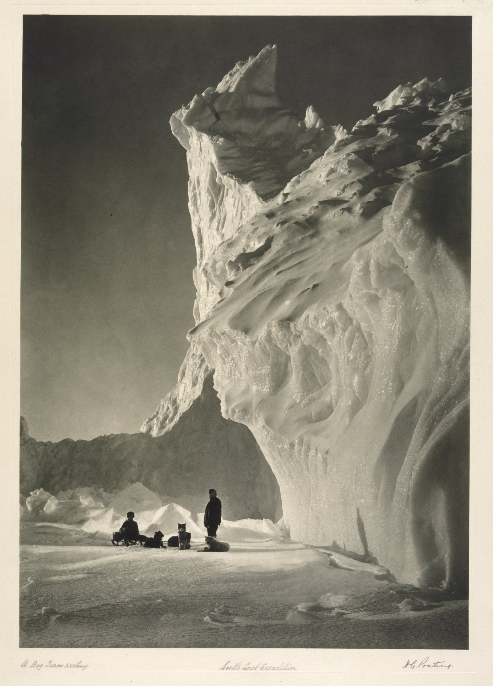 Herbert Ponting, Scott's Last Expedition. A Dog Team Resting, 1910, Gelatin silver print © Victoria and Albert Museum, London