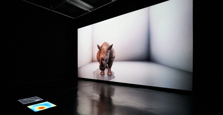 The Lost Rhino – an Art Installation with Alexandra Daisy Ginsberg
