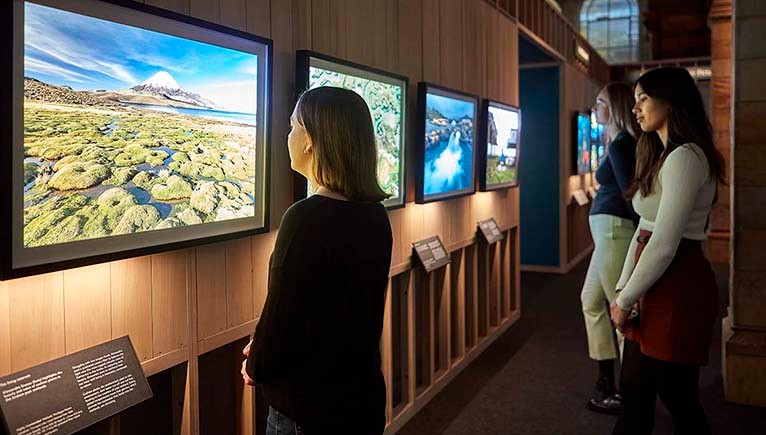 Wildlife Photographer of the Year at the Natural History Museum