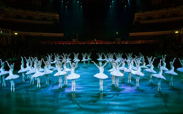 Swan Lake in the Round