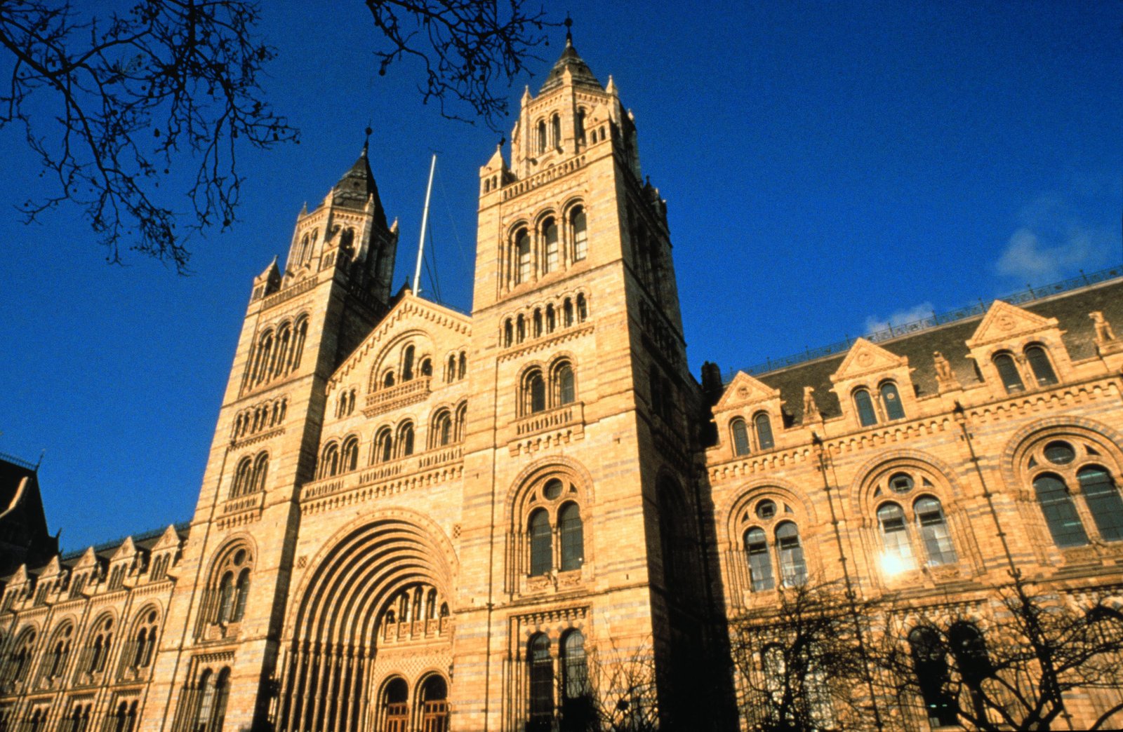 The Natural History Museum, London