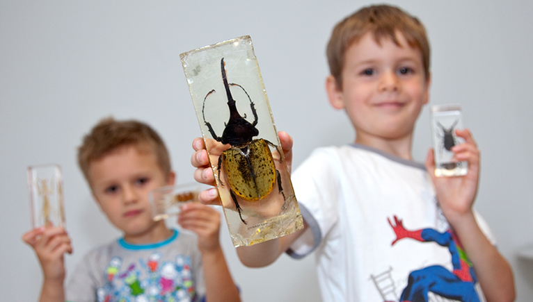 Investigate for families workshops let kids become the scientists for the day.