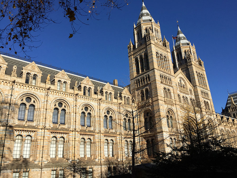 Dr Huertas works as a Senior Curator at the Natural History Museum in South Kensington