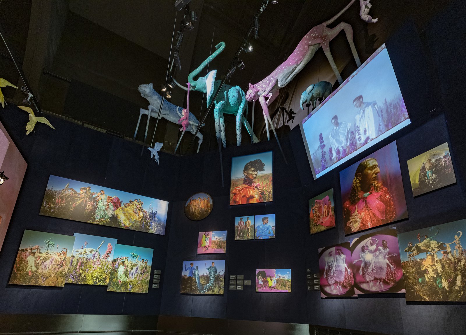 Tim Walker - Wonderful Things, V&A, London