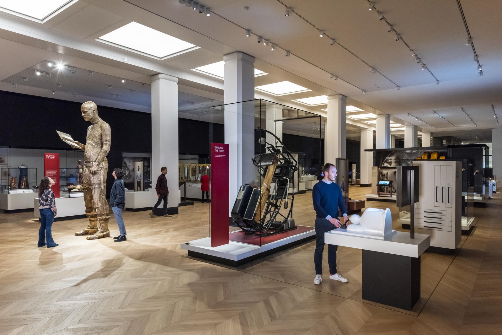 Visitors in the Medicine and Bodies gallery © Science Museum Group