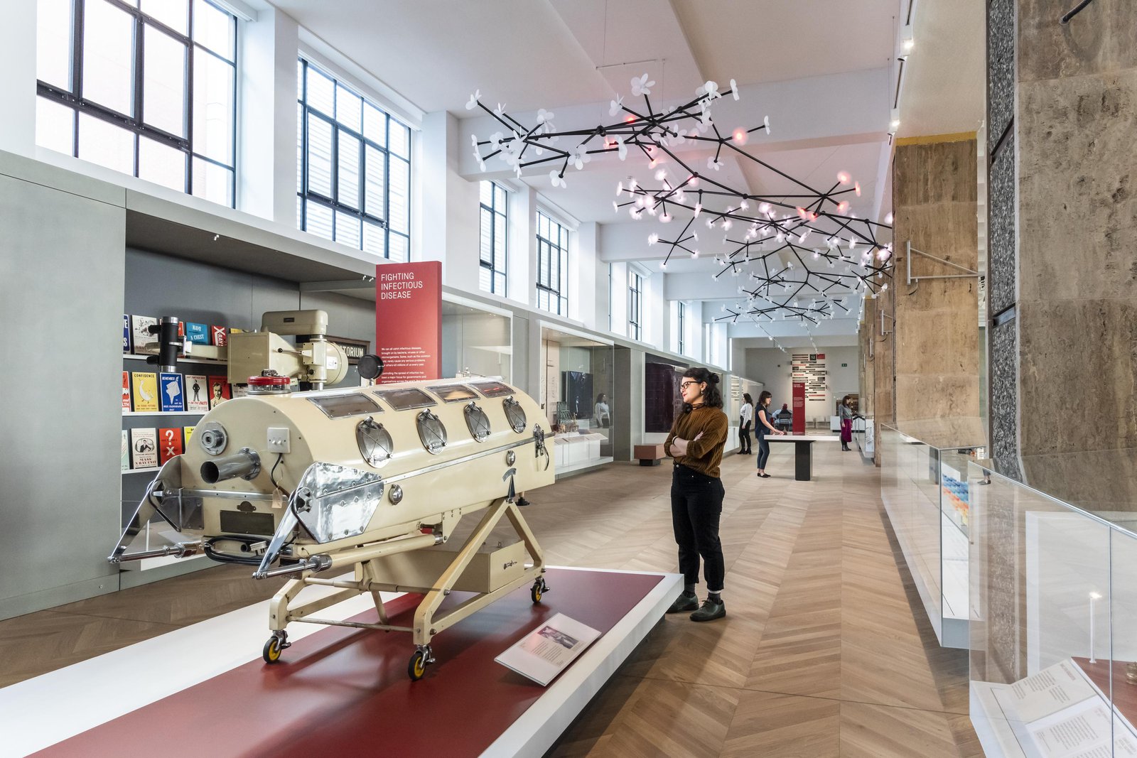 Visitors in the Medicine and Communities gallery © Science Museum Group