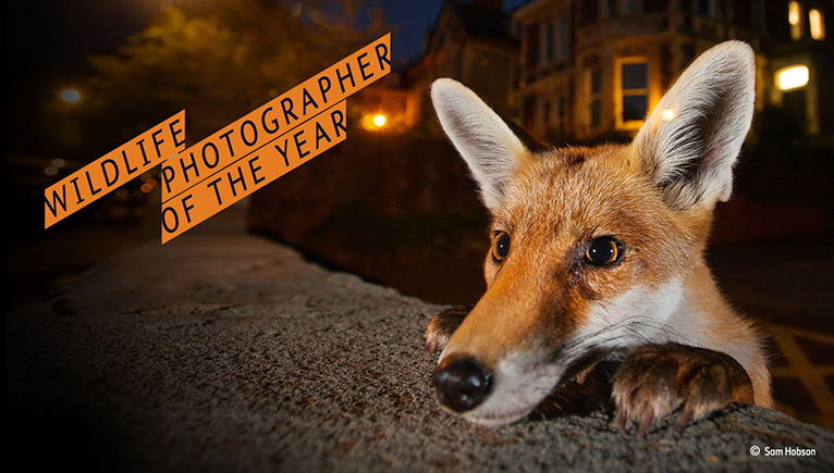 Wildlife Photographer of the Year